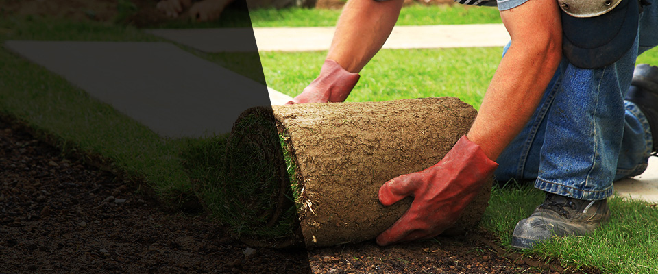 Pascagoula Landscapers